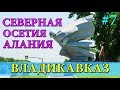 ВЛАДИКАВКАЗ | БАРБАШОВО ПОЛЕ | ПРОСПЕКТ МИРА | ДЕНДРАРИЙ | DENDRARIUM | СЕВЕРНАЯ ОСЕТИЯ АЛАНИЯ #7