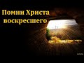 "Помни Христа воскресшего". В. А. Широбоков. МСЦ ЕХБ