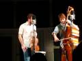 Punch Brothers You Are My Flower mp3