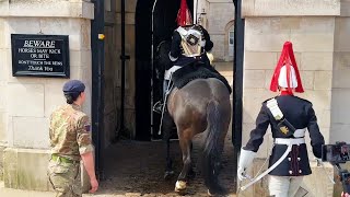 10 Crazy Moments Kings Guard Horses FREAK Out In Public!