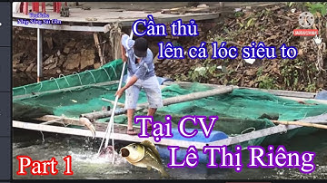 Bí quyết câu cá lóc tại hồ CV Lê Thị Riêng  Quận 10 ( Part 1) | @nhipsongsaigonchannel