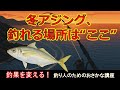 【保存版】冬アジングは“ここを狙えば釣れる”｜科学が導いた最強ポイント５選
