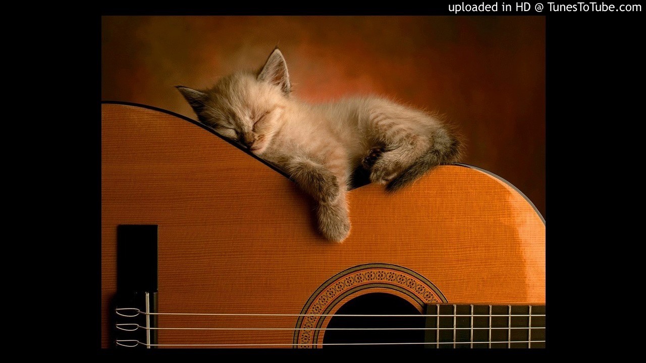 Cycle (Acoustic Guitar Cover)