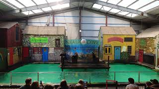 SEA LIONS SHOW - KNOWSLEY SAFARI PARK UK