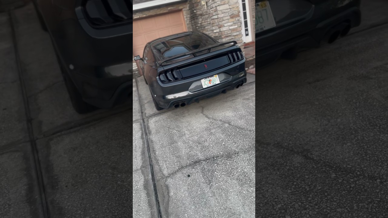 Loud 5.0 Mustang GT Cold Start 😮‍💨 