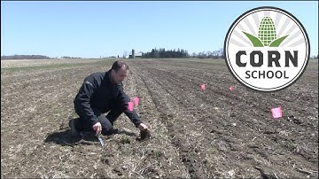 Corn School: Where tillage fits in a weed control strategy