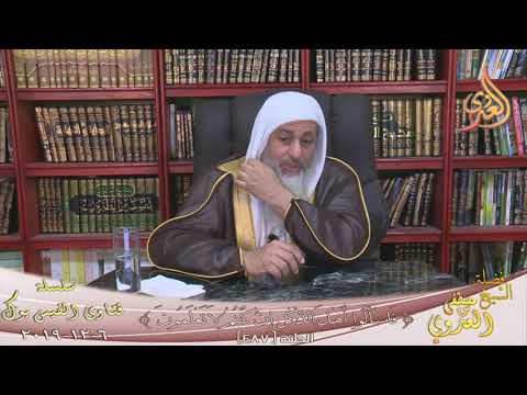 حكم إطعام الطيور للشيخ مصطفى العدوي