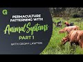 Permaculture Patterning with Animal Systems - Part 1