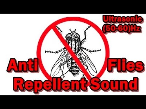 Video: Ultrasonic fly repeller: txoj cai ntawm kev ua haujlwm, qhov zoo, kev ua haujlwm