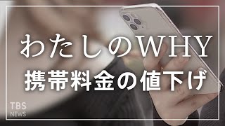 携帯料金の値下げ　賢い利用方法とは？経済部記者に聞きました【わたしのWHY・篠原梨菜】