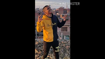مدرسه الحياه 