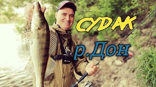 Судак в начале лета на джиг!) река Дон.