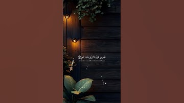 تلاوة هادئة للقارئ عبدالرحمن مسعد #تلاوة_خاشعة #قرآن #قران_كريم #عبدالرحمن_مسعد #آيات