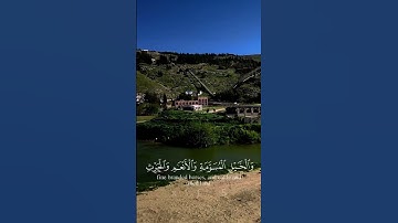 تلاوة خاشعة تريح القلب والأعصاب 💛#القران_الكريم #تلاوة_خاشعة #ارح_سمعك #اكسبلور