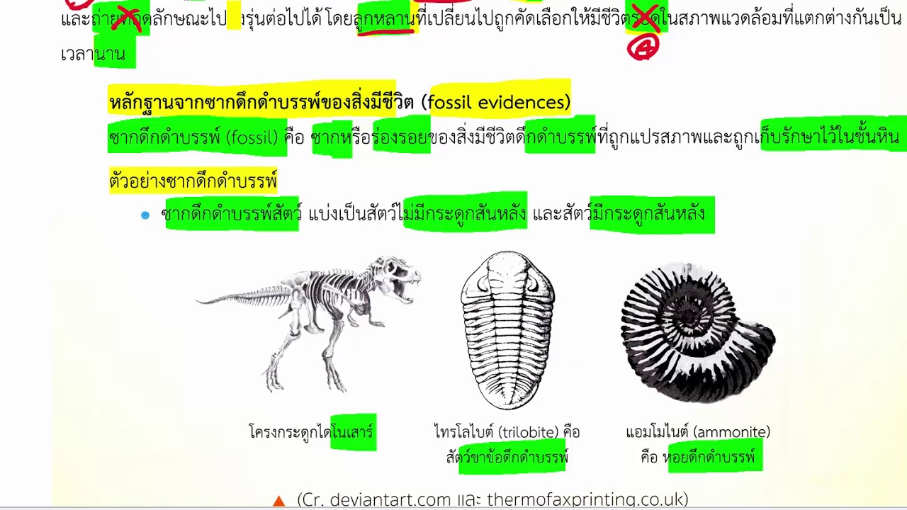 บทที่ 18 วิวัฒนาการ ตอนที่ 01 หลักฐานทางวิวัฒนาการ