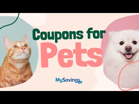 Save Money with Pet Coupons