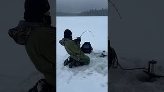 I can’t believe I caught this!