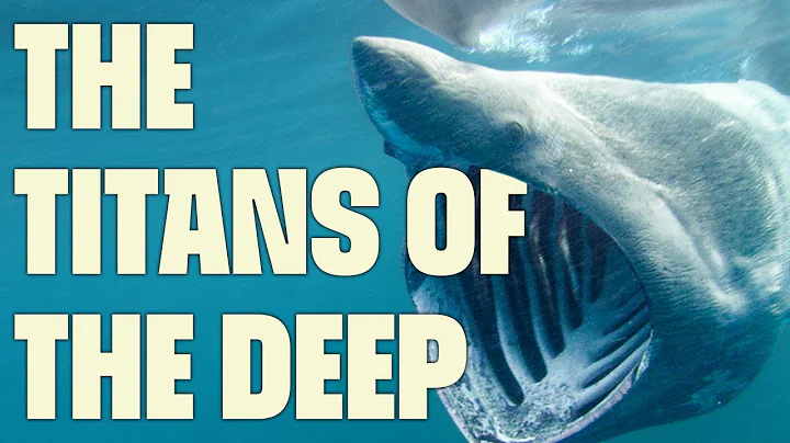 Powerhouses of the Ocean | FULL DOCUMENTARY | Sharks: the Big Five | @UltimateNatureDocs thumbnail