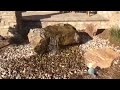 Urbandale Iowa Drilled Boulder Fountain. Just Add Water 515