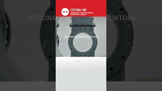 CTZ73H-10C THROUGH-TYPE PNEUMATIC SLIDE GATE VALVE-DLK
