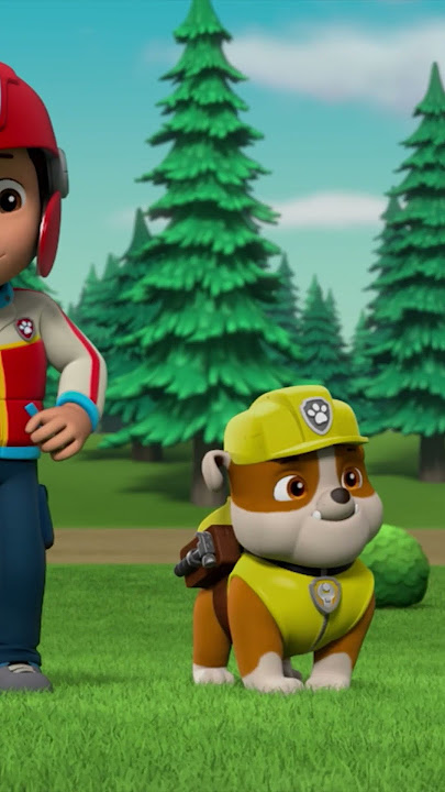 Rubble Stops the Cheetah and more rescues!, PAW Patrol