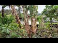 Breaking permaculture principles
