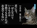 【太宰治】君に今、一ばん欠けているものは、学問でなければお金でもない。【風の便り】より
