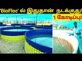 "பயோ பிளாக்" இல் இனி யாரும் ஏமாறாதீர்கள் | The Real side of Bio Floc fish farming in Tamilnadu