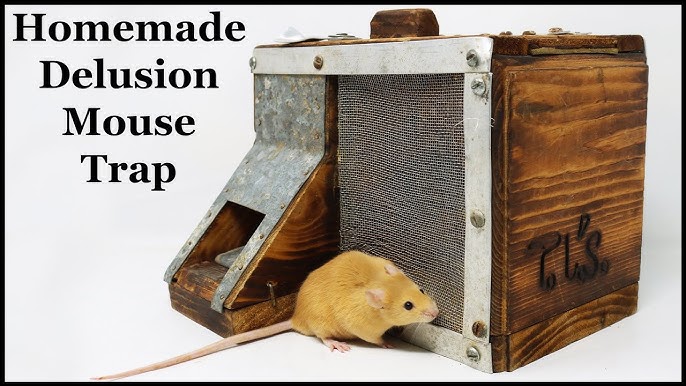 Tip & Slip Mouse Trap Catches Mice & Rats In The Barn. Opossum