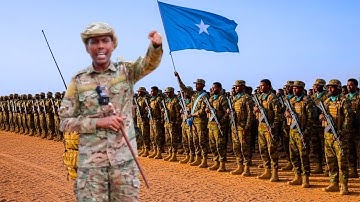 Daawo Taliye Odawaa Oo Runta Usheegay Ciidamada Xoogga Somalia Yidhina Hadda Laga Bilaabo Dagaal Dha