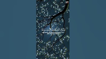 قران كريم ❤ | القارئ إسلام صبحي - حالات واتس اب دينيه