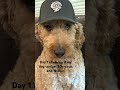Day 1