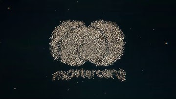 Bitcoin Logo Reveal.