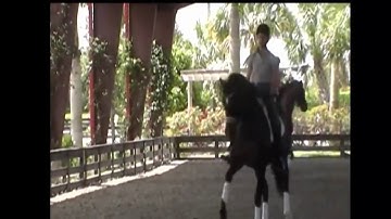 How to Ride a Single Loop Serpentine by Dressage Hub