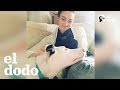 Perrito ciego y sordo empieza a sentirse seguro | El Dodo