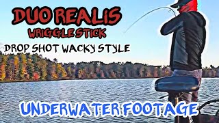 DUO Realis Wriggle Stick Review - Wired2Fish