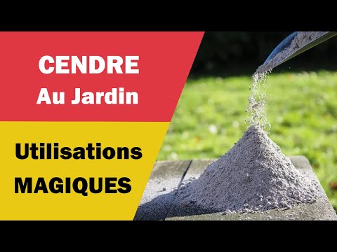 Vidéo: La Cendre Comme Engrais (19 Photos) : La Composition Du Bois Et Autres Cendres, Son Utilisation Au Jardin. Quelles Plantes Aiment Le Frêne ? La Cendre De Charbon Peut-elle être Uti