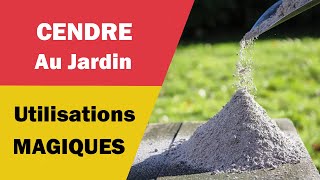 Les Utilisations Magiques et Pratiques de la Cendre au Jardin Resimi