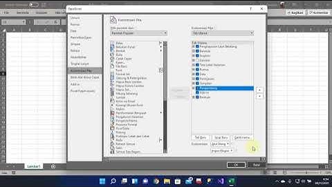 Mengaktifkan Tab Developer/Pengembang MS. Excel 365