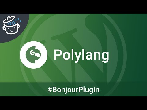 Bonjour Plugin #12 ? - Polylang, le plugin multilingue pour votre site WordPress