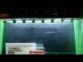 Chevrolet Corvette GM 12555894 injectors spray pattern test at Toronto Injectors