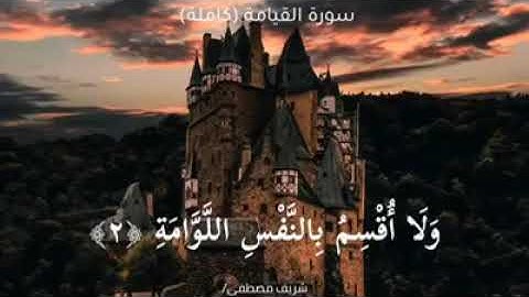 تلاوة في غاية الجمال لسورة القيامة كاملة ( القارئ شريف مصطفى)