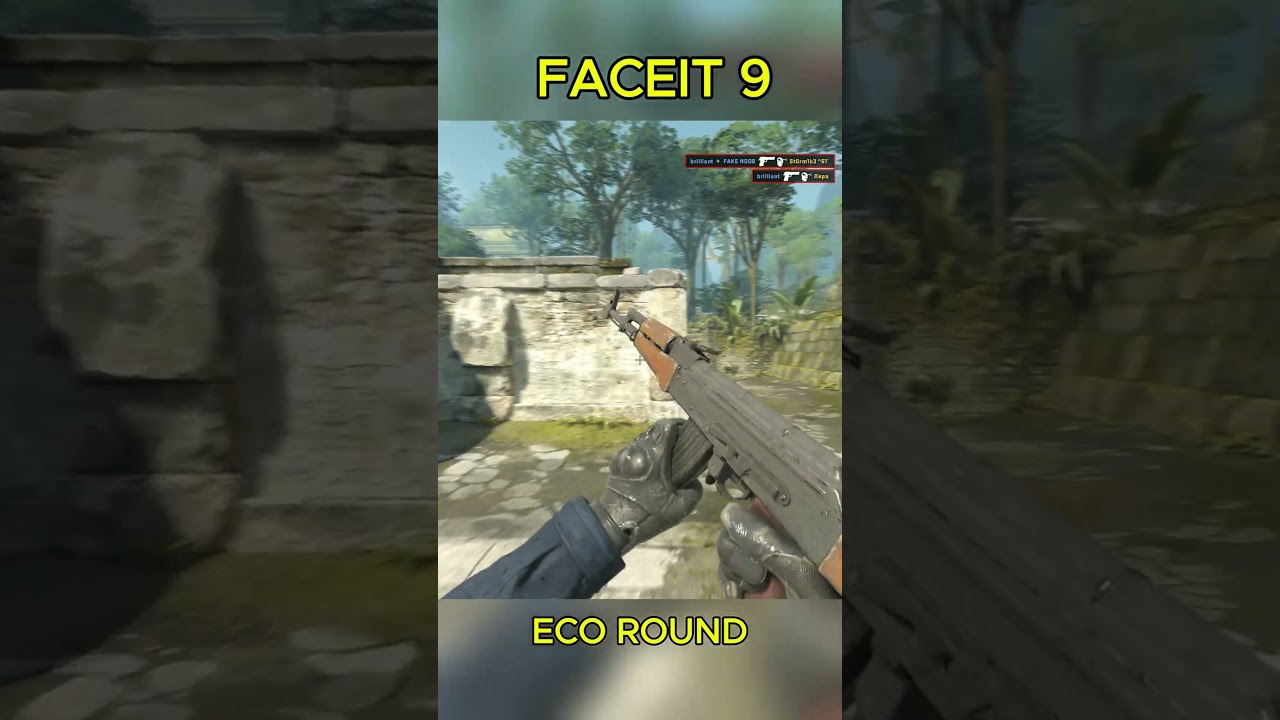 RANDOM FACEIT GAME OF MINE 