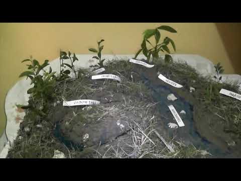 Desrine GEO Project   SD 480p