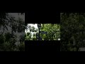 NOUVEAU CLIP #shortmusic #shortmusique #youtubemusic #musique #chanson #clip #visualizer #france