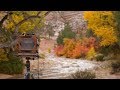 Another Spectacular, Rainy Day in Zion National Park | Large Format Landscape Photography