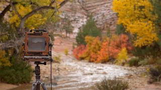 Another Spectacular, Rainy Day in Zion National Park | Large Format Landscape Photography