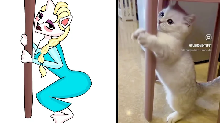 Video 11879921: funniest cats dancing, animals funniest cats, cat funny dance animal