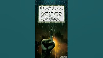 سورة البقرة الآية 216 #قران #كريم #دعاء #ذكر_الله #اسلام #مؤمنون #مسلمين #مسلم #qouran_karim #islam