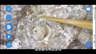 玉带板、玉壁，怎么认？怎么盘？